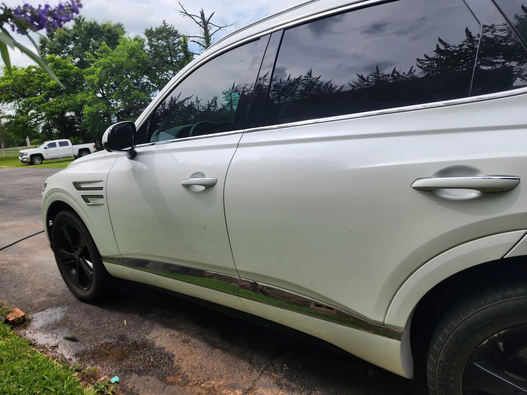 Genesis vehicle preservation profile